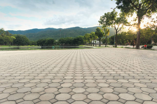 Best Driveway Pavers Near Me  in Monticello, GA